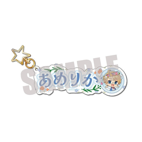 『ヘタリア World★Stars』お名前キーホルダー アメリカ Spring fairy ver.